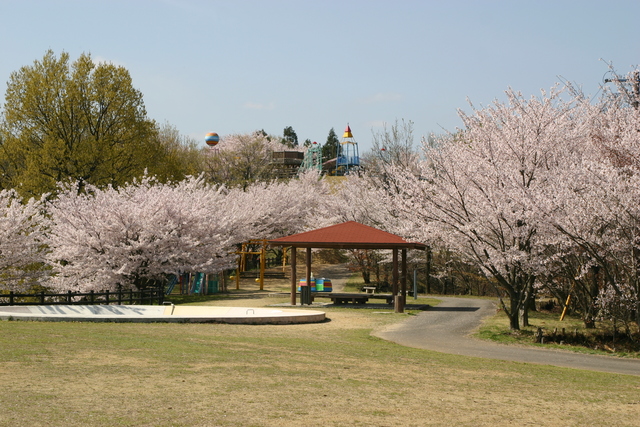 高山航空公園3