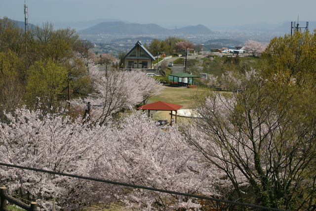 高山航空公園2