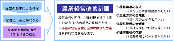 農業経営改善計画イメージ 農業経営改善計画イメージ