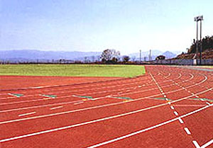 競技場 競技場