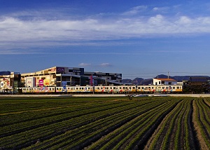 ラッピング電車が行く.jpg