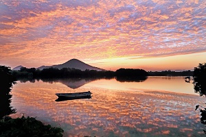 北条池の朝.jpg