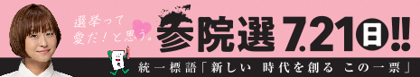 第25回参議院議員選挙