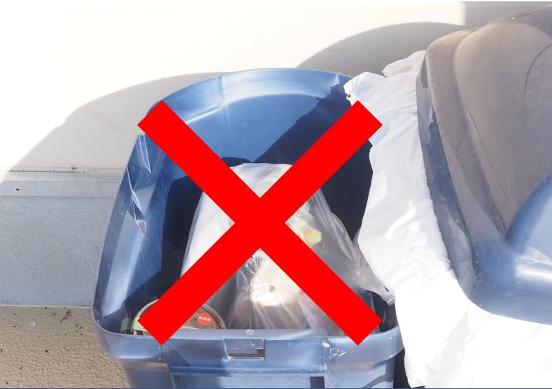 gomi1.JPG