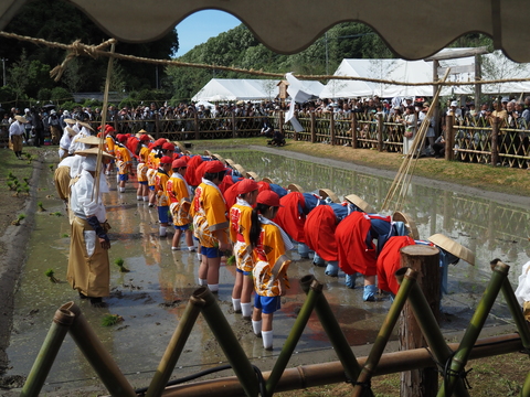 お田植まつりの新着情報 | 綾川町