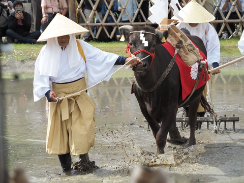 R8れいわ2